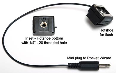 Female Hotshoe to Pocket Wizard, CyberSync or Elinchrom Skyport